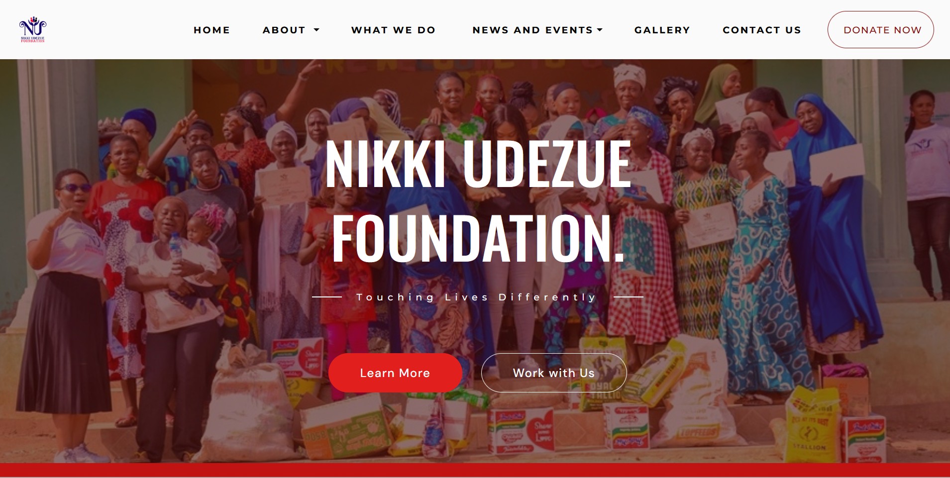 nikkiudezuefoundation.org homepage